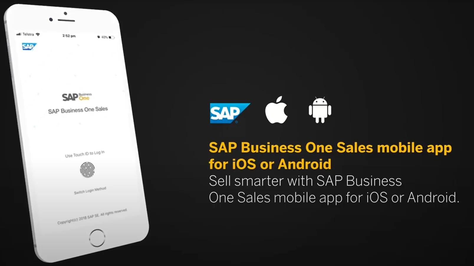 SAP B1 Mobility Features